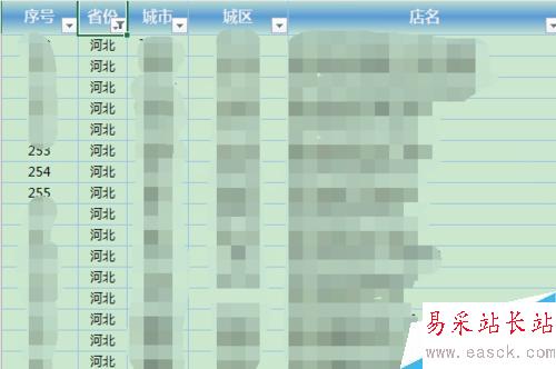 excel2013怎么進行文本篩選