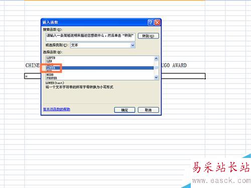 如何在EXCEL表格中使用LOWER函數(shù)