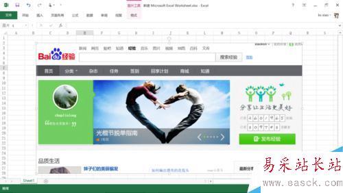 如何使用excel中的屏幕截圖功能