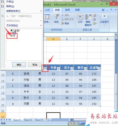 excel2007如何對編輯的內容進行排序和篩選？