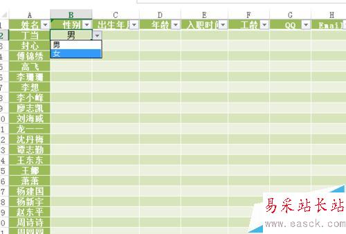 如何設置Excel的數據有效性并提示出錯警告
