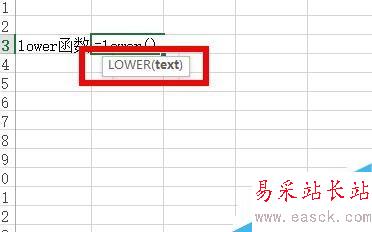 Excel中如何將文本轉換為小寫形式？