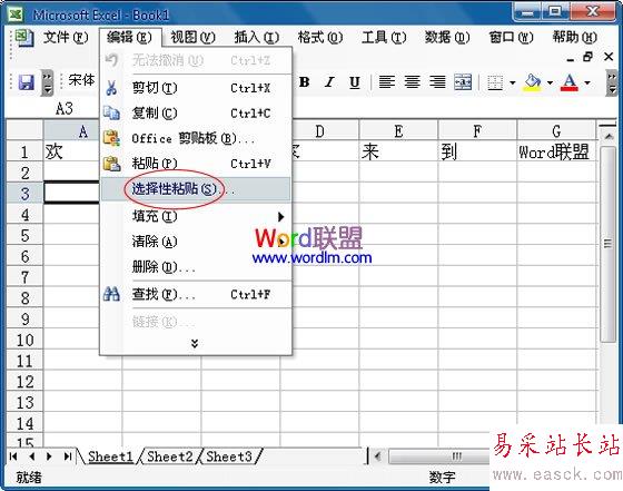 選擇性粘貼