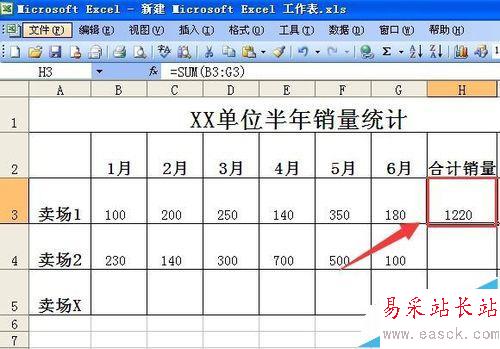 如何利用EXCEL表格求和,并且做成格式化的表格