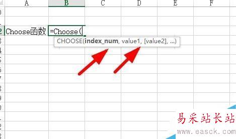 Excel中Choose函數(shù)如何使用？