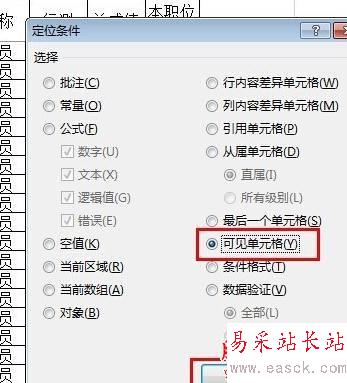 excel2013中如何只復制可見單元格