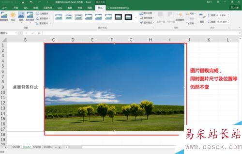 Excel2016怎么替換已插入的圖片?Excel2016替換圖片教程