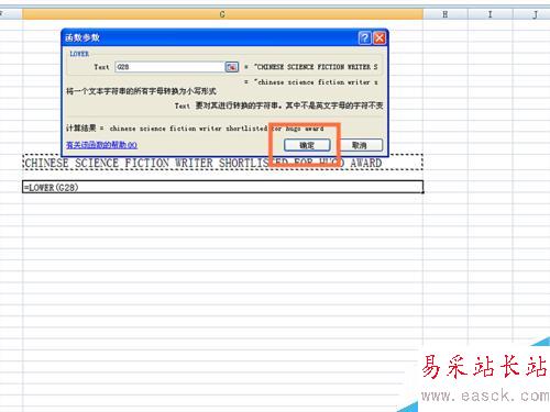 如何在EXCEL表格中使用LOWER函數(shù)
