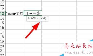 Excel中如何將文本轉換為小寫形式？