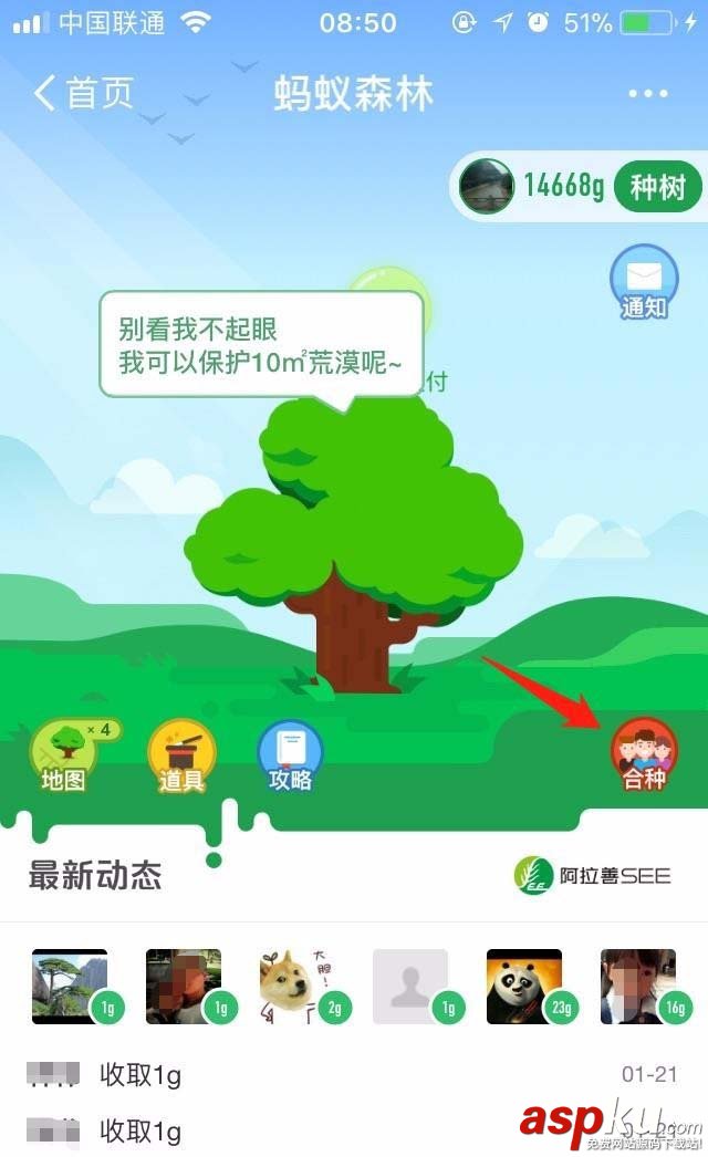 支付寶螞蟻森林怎么退出合種樹? 支付寶,螞蟻森林