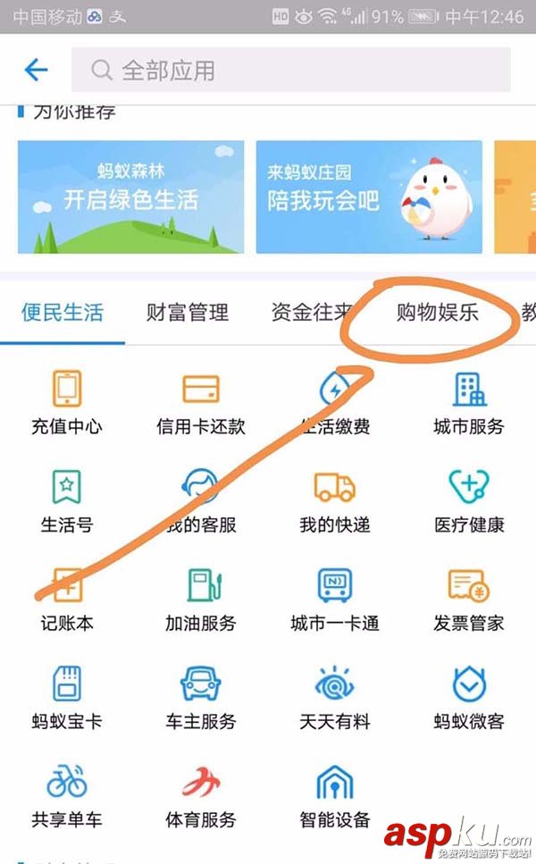 支付寶,簽證