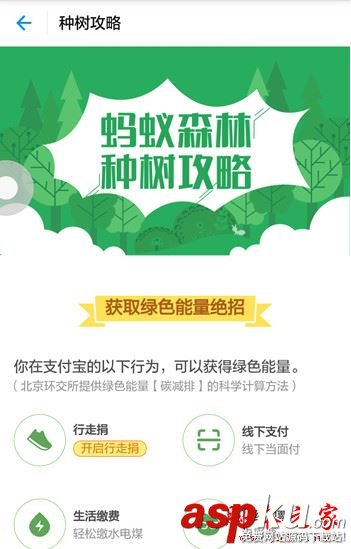 支付寶螞蟻森林入口在哪 螞蟻森林怎么收取別人的能量 支付寶,螞蟻森林