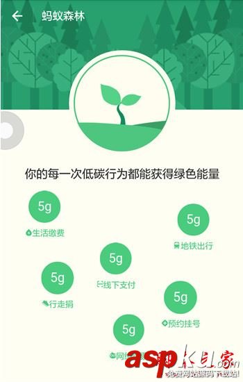 支付寶螞蟻森林入口在哪 螞蟻森林怎么收取別人的能量 支付寶,螞蟻森林