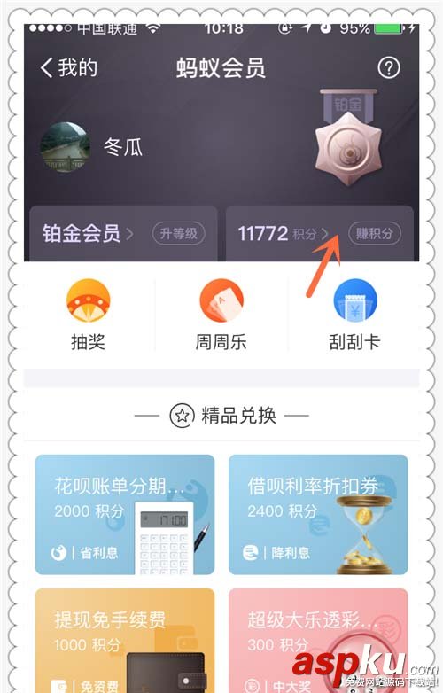 支付寶,會(huì)員,積分