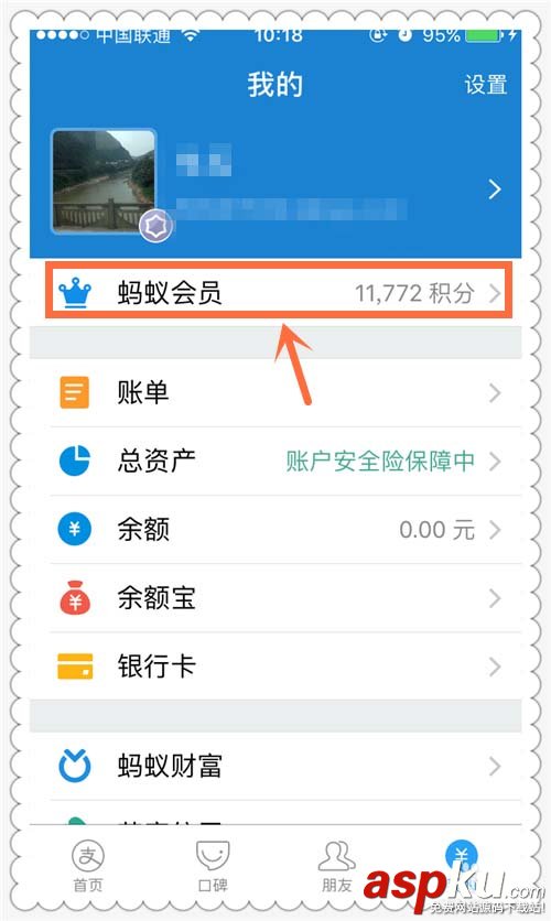 支付寶,會(huì)員,積分