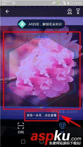 支付寶app怎么參與AR掃花識(shí)花? 支付寶,掃花識(shí)花