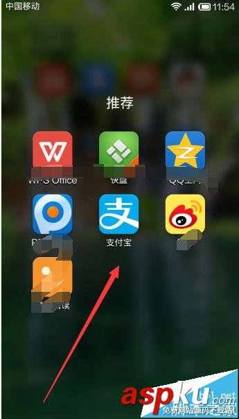 支付寶,新浪微博