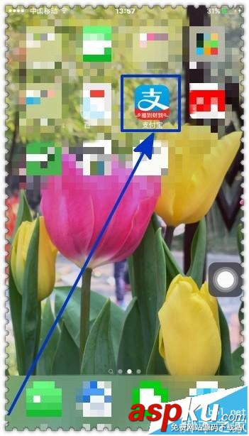 支付寶,高速公路路況