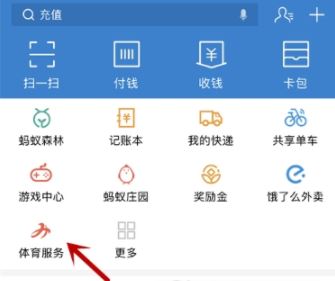 支付寶,運動,首富