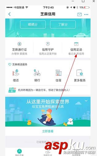支付寶,芝麻信用