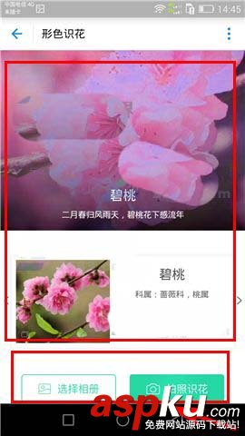 支付寶app怎么參與AR掃花識(shí)花? 支付寶,掃花識(shí)花