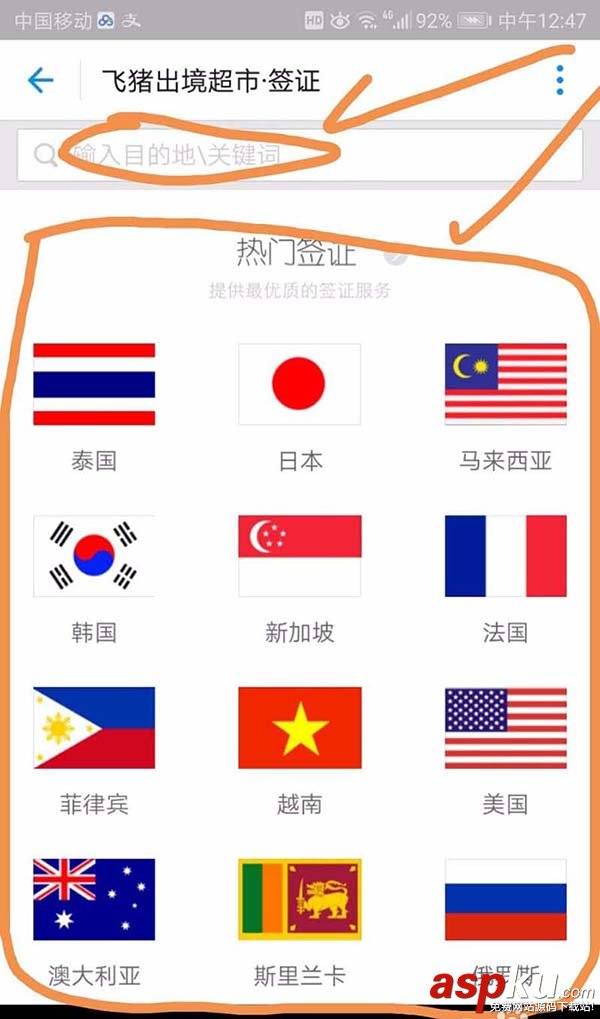 支付寶,簽證