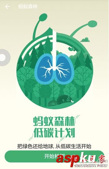 支付寶螞蟻森林入口在哪 螞蟻森林怎么收取別人的能量 支付寶,螞蟻森林