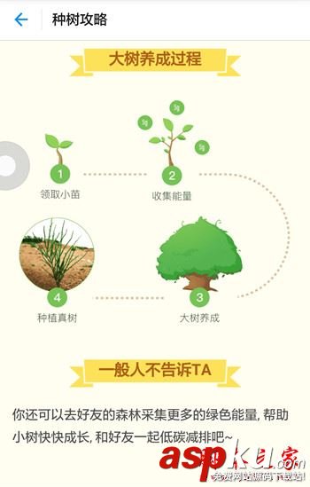 支付寶螞蟻森林入口在哪 螞蟻森林怎么收取別人的能量 支付寶,螞蟻森林