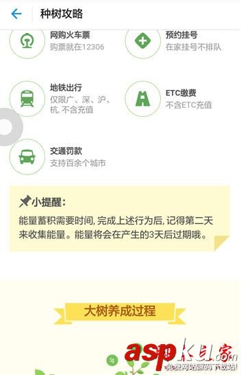 支付寶螞蟻森林入口在哪 螞蟻森林怎么收取別人的能量 支付寶,螞蟻森林