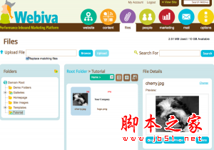 IT文藝男評(píng)cms系列二：塞下秋來(lái)風(fēng)景異 武林網(wǎng)