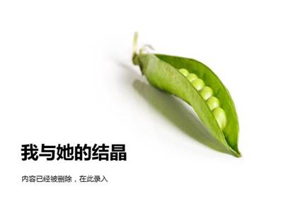 看圖學(xué)PPT第二季