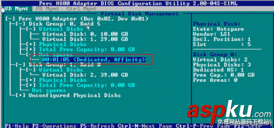 DELL服務器RAID H700,PERC H800陣列卡配置中文完全手冊圖解 RAID,H700,H800