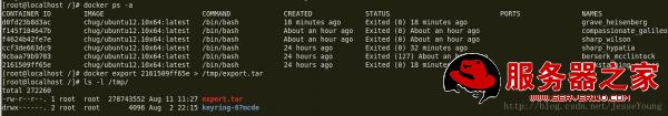 CentOS系統(tǒng)下docker的安裝配置及使用介紹 CentOS,docker