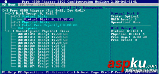 DELL服務器RAID H700,PERC H800陣列卡配置中文完全手冊圖解 RAID,H700,H800