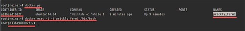 在Ubuntu15.04上安裝Docker的步驟以及基本用法 ubuntu安裝docker步驟,docker用法,ubuntu15,docker,安裝