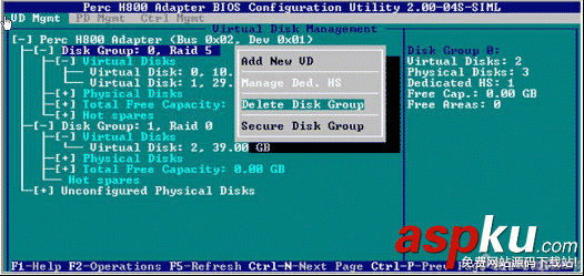 DELL服務器RAID H700,PERC H800陣列卡配置中文完全手冊圖解 RAID,H700,H800