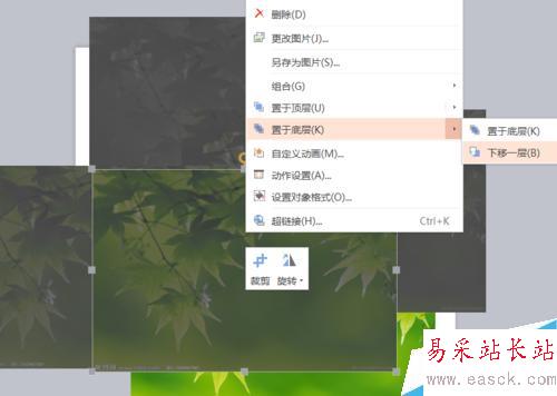 PPT圖片由模糊到清楚怎么設置?