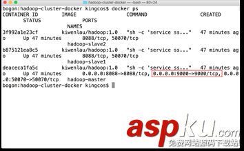 詳解從 0 開始使用 Docker 快速搭建 Hadoop 集群環(huán)境 docker搭建hadoop集群,docker部署hadoop集群,docker,hadoop集群
