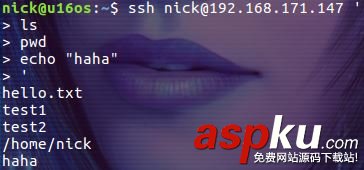 詳解SSH 遠程執行任務的方法 SSH,遠程執行任務,遠程