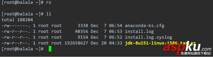 linxu,服務器,安裝,jdk
