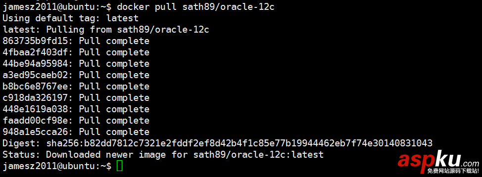 詳解Docker中安裝配置Oracle數據庫 docker,安裝oracle,docker下安裝oracle,oracle