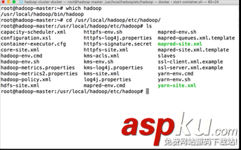 詳解從 0 開始使用 Docker 快速搭建 Hadoop 集群環(huán)境 docker搭建hadoop集群,docker部署hadoop集群,docker,hadoop集群