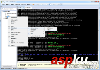 無桌面的linux安裝VMWare Tools配置教程 VMWare,Tools,linux