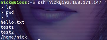 詳解SSH 遠程執行任務的方法 SSH,遠程執行任務,遠程