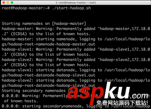 詳解從 0 開始使用 Docker 快速搭建 Hadoop 集群環(huán)境 docker搭建hadoop集群,docker部署hadoop集群,docker,hadoop集群