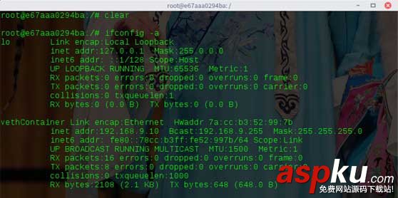 詳解docker容器分配靜態IP docker,容器,靜態ip,docker設置靜態ip,docker靜態ip