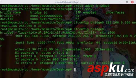 詳解docker容器分配靜態IP docker,容器,靜態ip,docker設置靜態ip,docker靜態ip