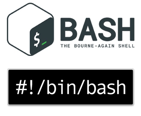 bash函數(shù)