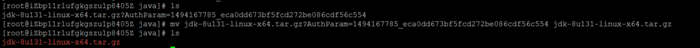 linux服務器上安裝jdk的兩種方法(yum+下載包) linux,yum,安裝jdk,linux使用yum安裝jdk,linux服務器安裝jdk