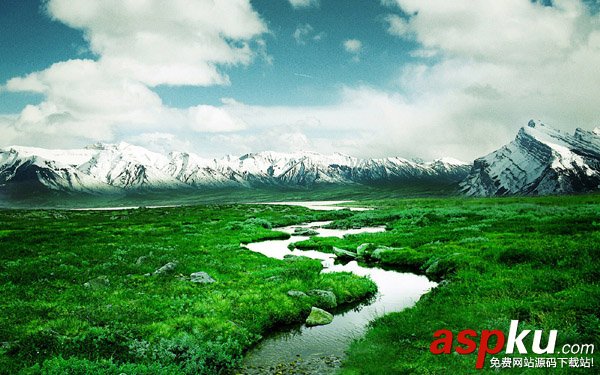 Photoshop制作雨中野外孤獨行走的一頭牛海報 Photoshop,海報